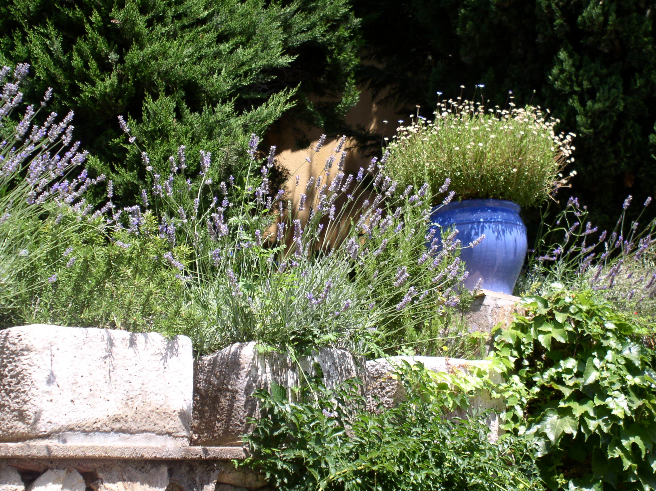 Zimní zahrady vytváří atmosféru Středomoří