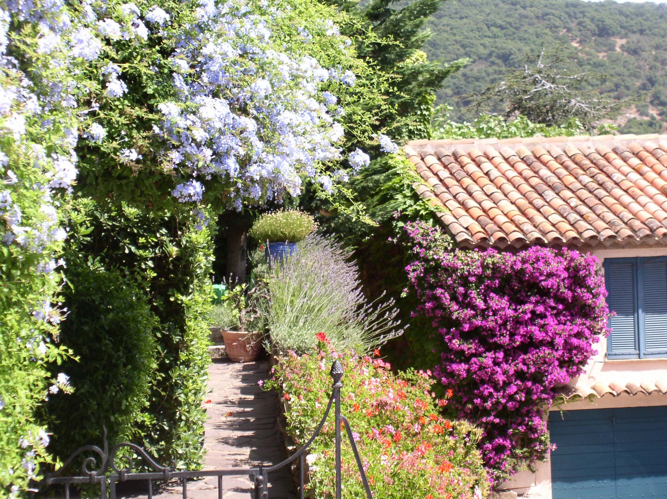 Zimní zahrada vytváří příjemnou atmosféru středomoří